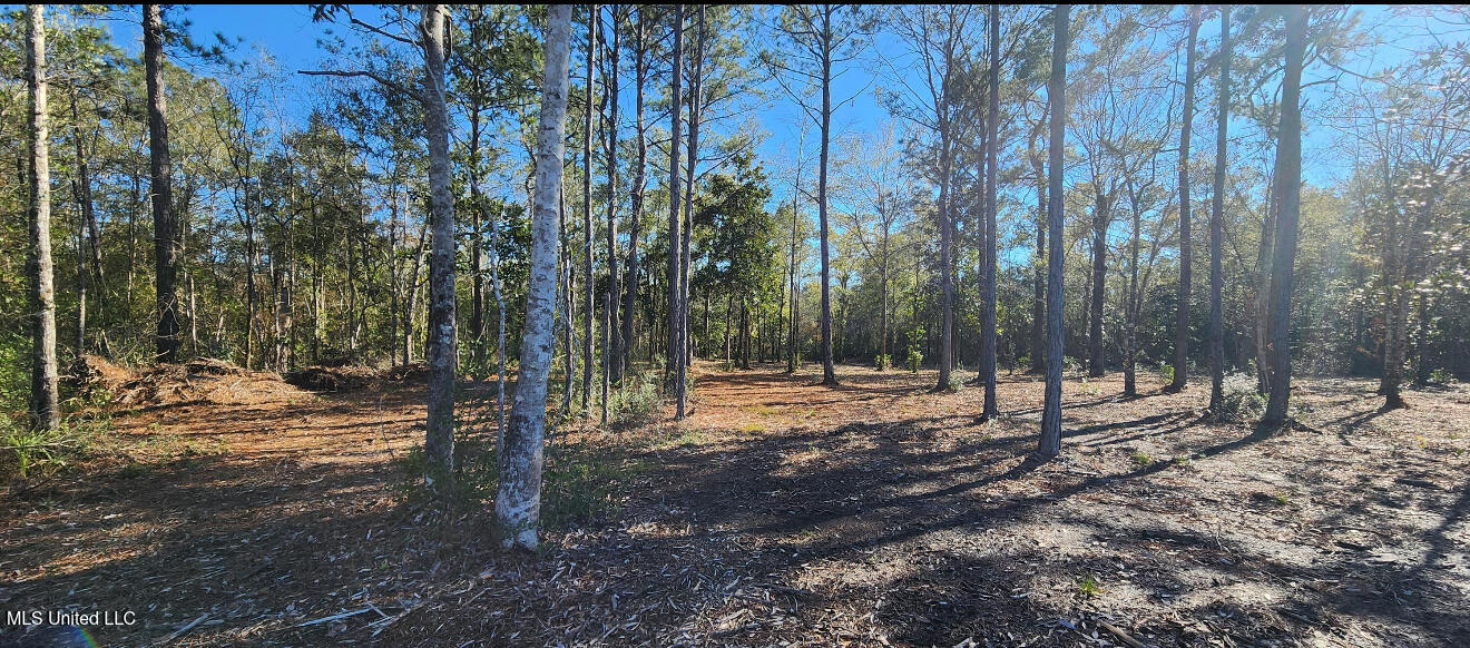 Nhn Runnymede Road Pass Christian, MS 39571 - Photo 7 of 13 IMG_3837
