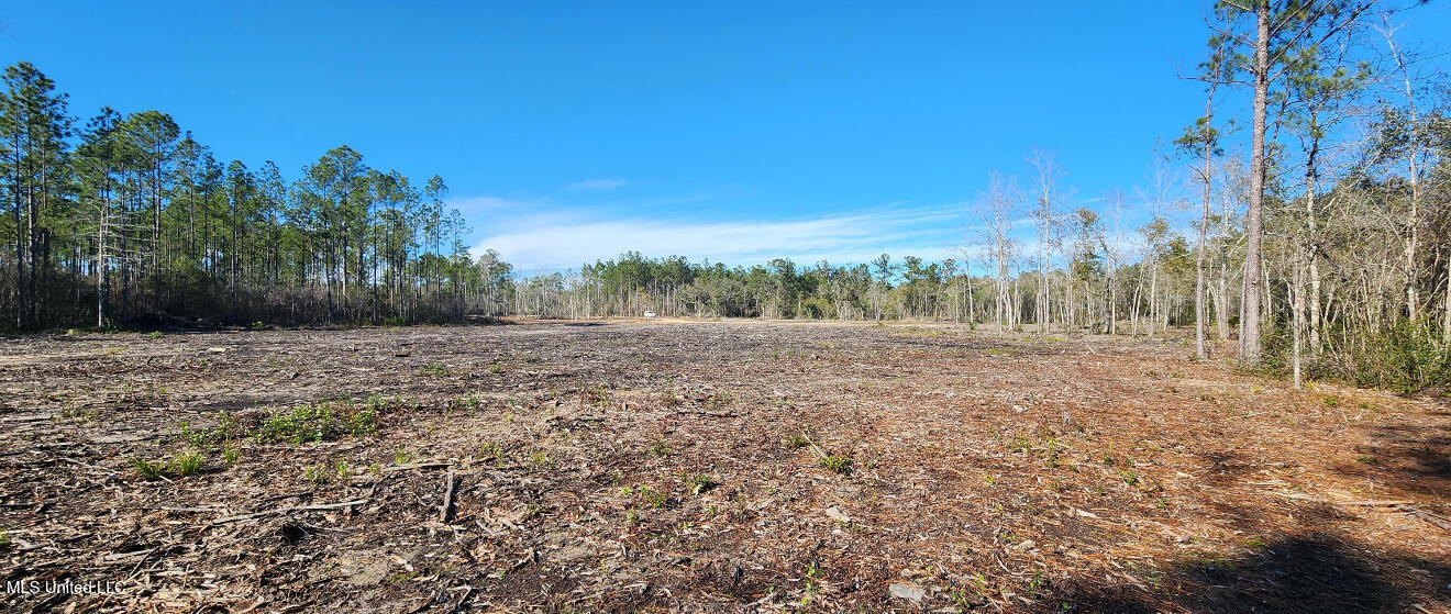Nhn Runnymede Road Pass Christian, MS 39571 - Photo 8 of 13 IMG_3838