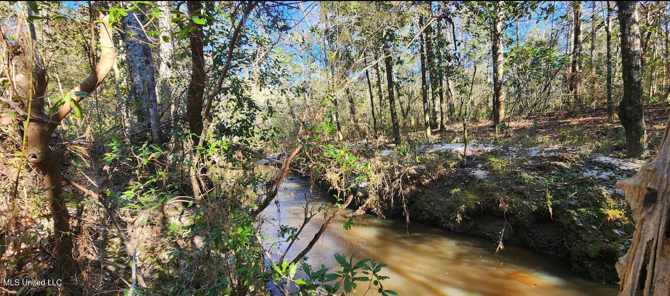 Nhn Runnymede Road Pass Christian, MS 39571 - Photo 9 of 13 IMG_3840