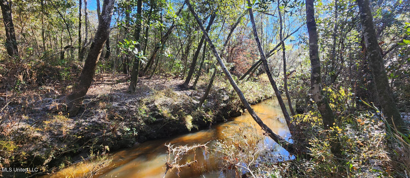 Nhn Runnymede Road Pass Christian, MS 39571 - Photo 10 of 13 IMG_3843