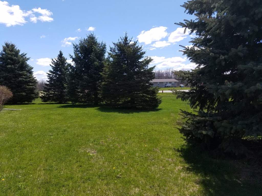 5771 East Remus Road Mount Pleasant, MI 48858 - Photo 21 of 22 1815750-20.JPG