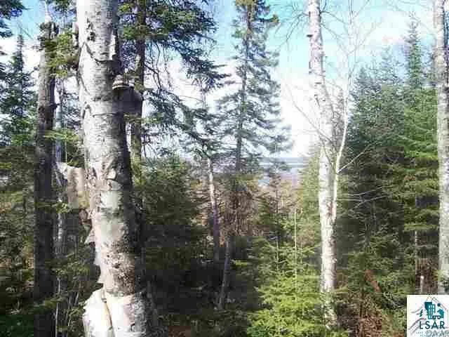 $85,000 | 169 Highway 169, Ely, MN 55731