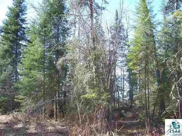 $85,000 | 169 Highway 169, Ely, MN 55731