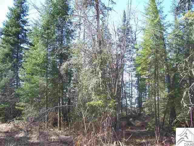 169 Highway 169 Ely, MN 55731 - Photo 6 of 8