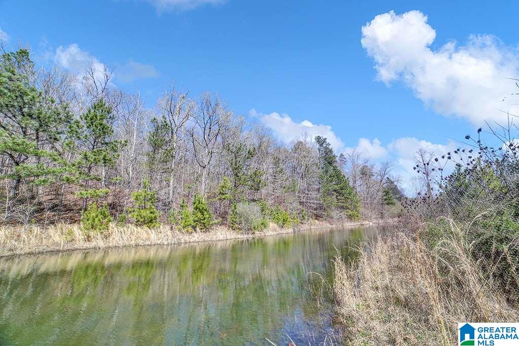 39080 Highway 231 Steele, AL 35987 - Photo 10 of 37