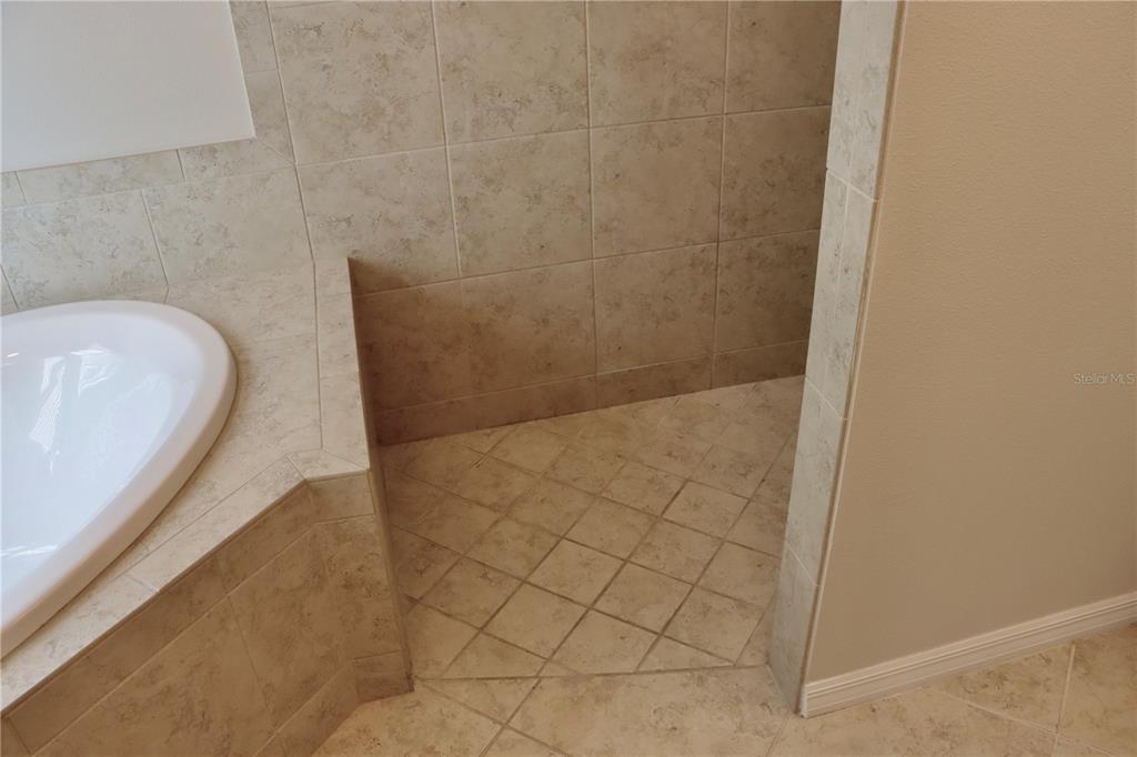 2389 Pawtucket Pass Mount Dora, FL 32757 - Photo 34 of 67 a bathroom with a bathtub