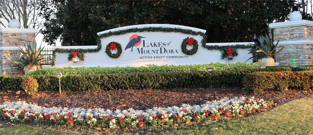 2389 Pawtucket Pass Mount Dora, FL 32757 - Photo 60 of 67 a view of outdoor space and yard