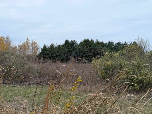 $19,900 | N/a Manor Road, Au Gres, MI 48703