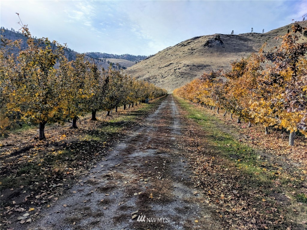 231 Apple Acres Road Chelan, WA 98816 - Photo 2 of 21