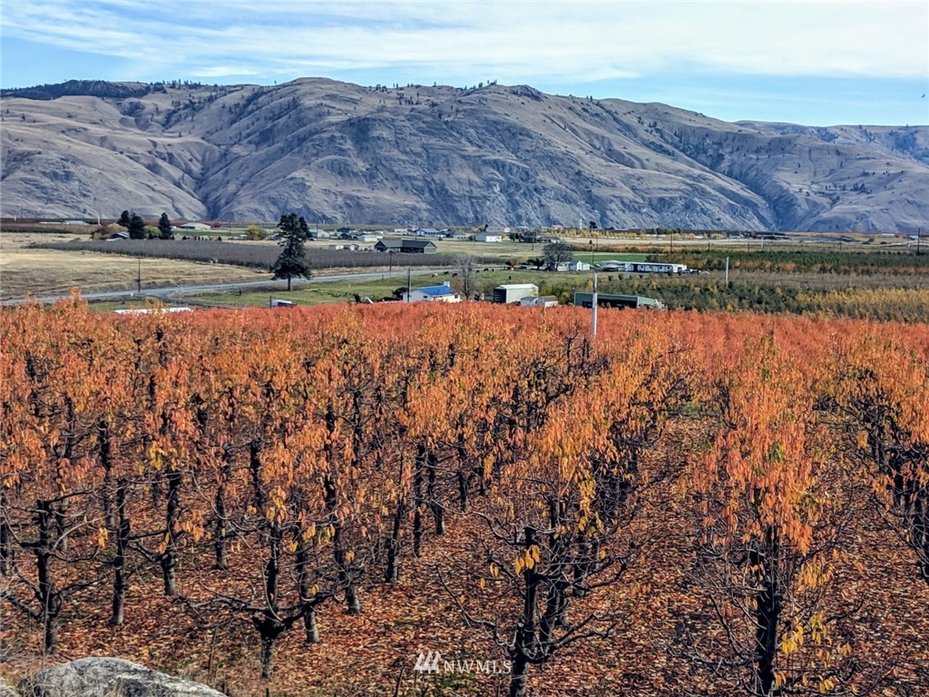 231 Apple Acres Road Chelan, WA 98816 - Photo 11 of 21