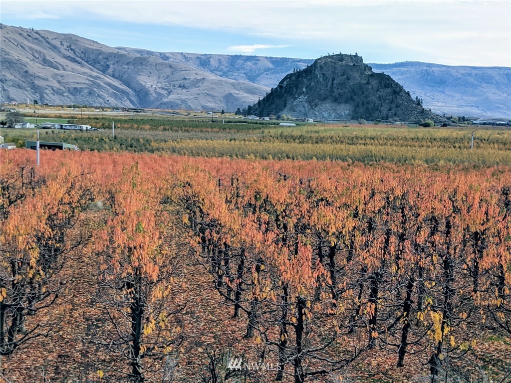 231 Apple Acres Road Chelan, WA 98816 - Photo 12 of 21