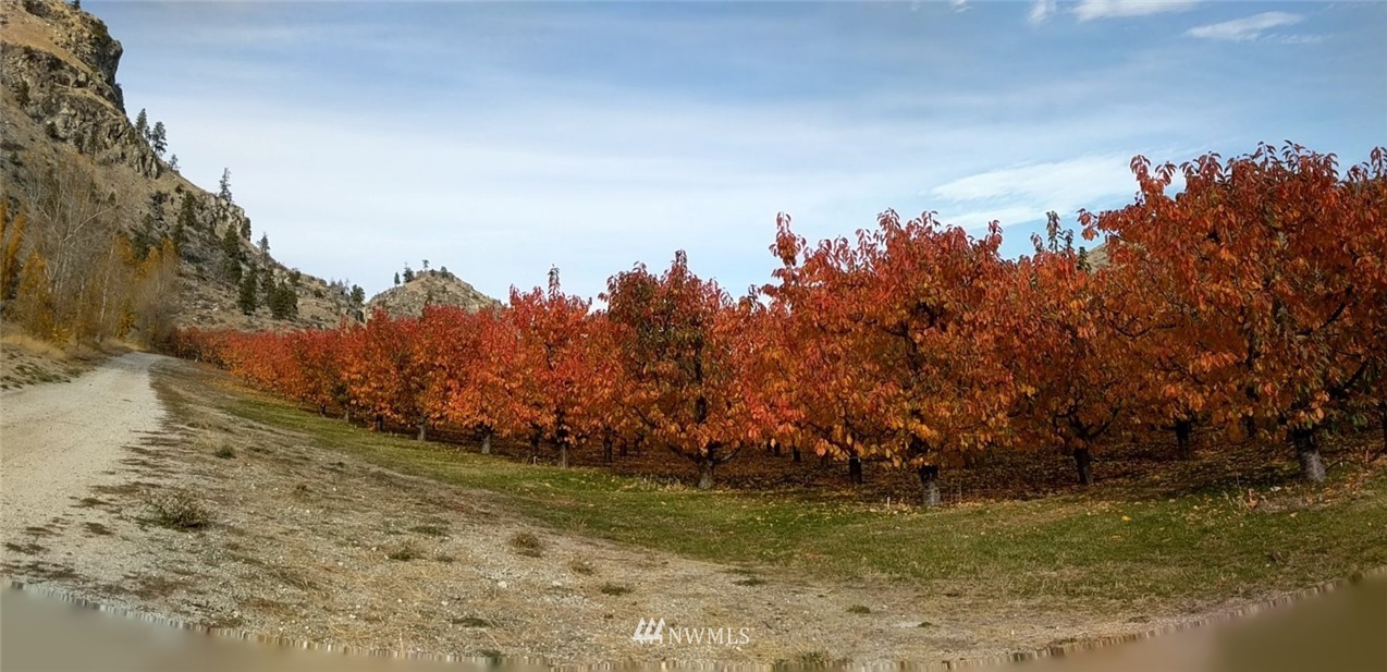 231 Apple Acres Road Chelan, WA 98816 - Photo 14 of 21