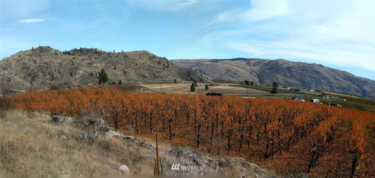 231 Apple Acres Road Chelan, WA 98816 - Photo 15 of 21