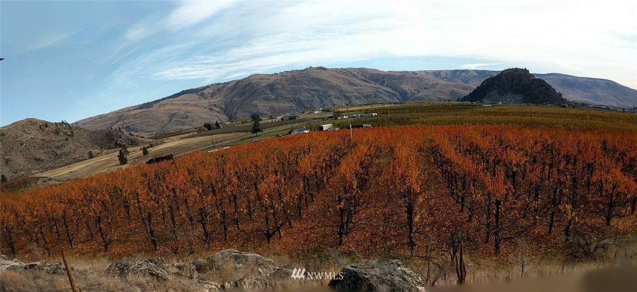 231 Apple Acres Road Chelan, WA 98816 - Photo 16 of 21