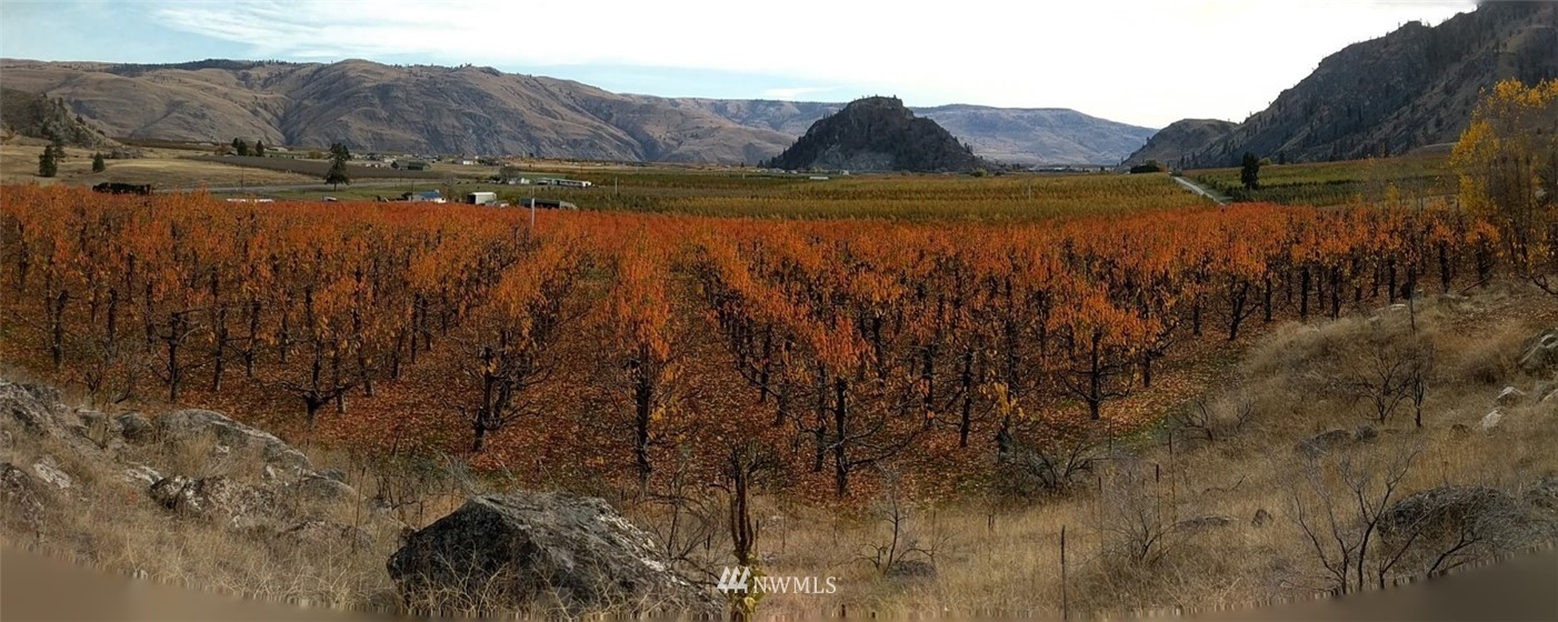231 Apple Acres Road Chelan, WA 98816 - Photo 17 of 21