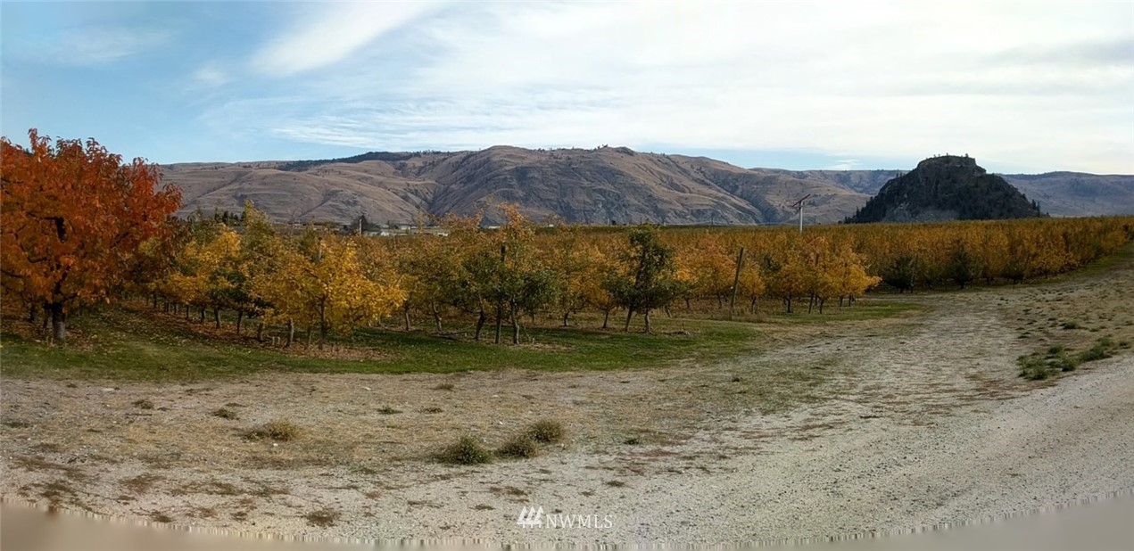 231 Apple Acres Road Chelan, WA 98816 - Photo 18 of 21