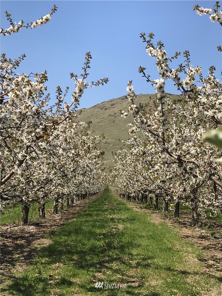 231 Apple Acres Road Chelan, WA 98816 - Photo 19 of 21