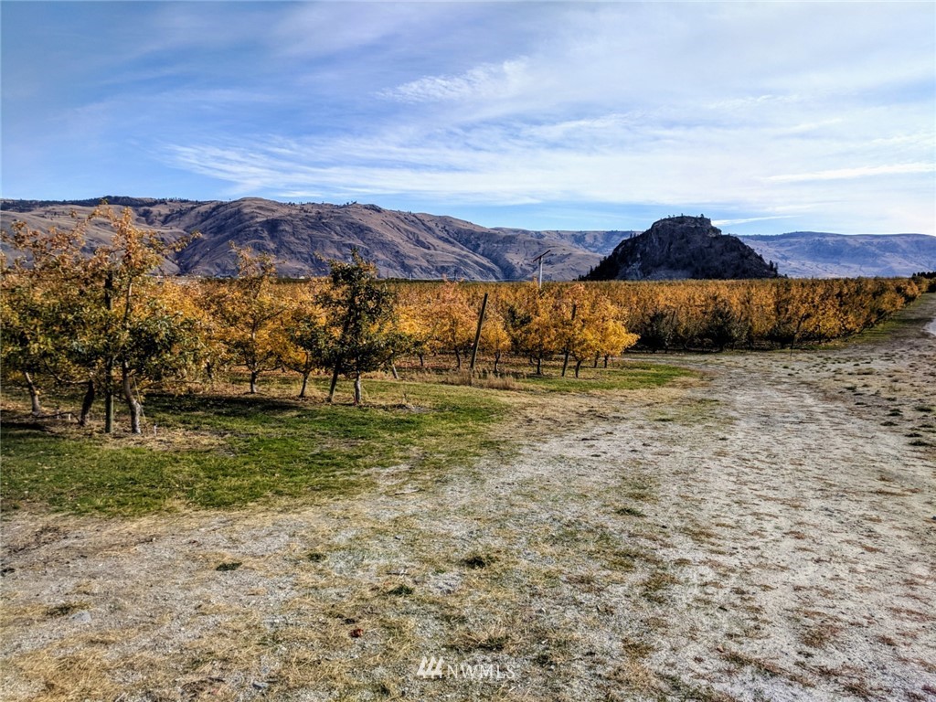 231 Apple Acres Road Chelan, WA 98816 - Photo 6 of 21