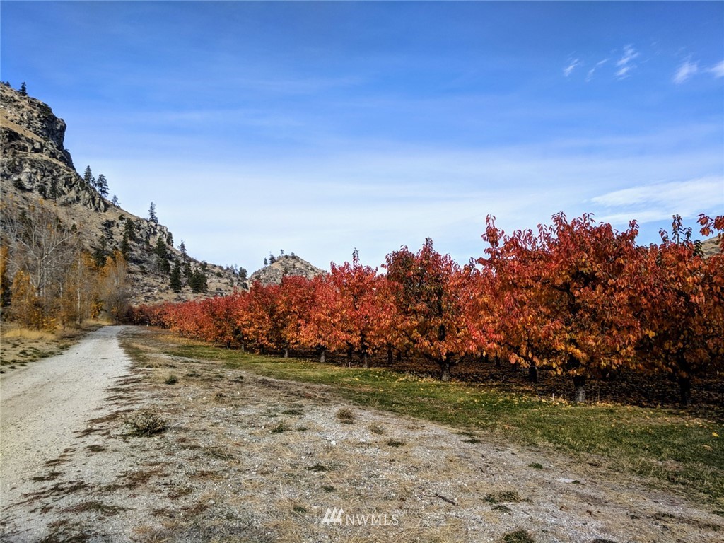 231 Apple Acres Road Chelan, WA 98816 - Photo 7 of 21