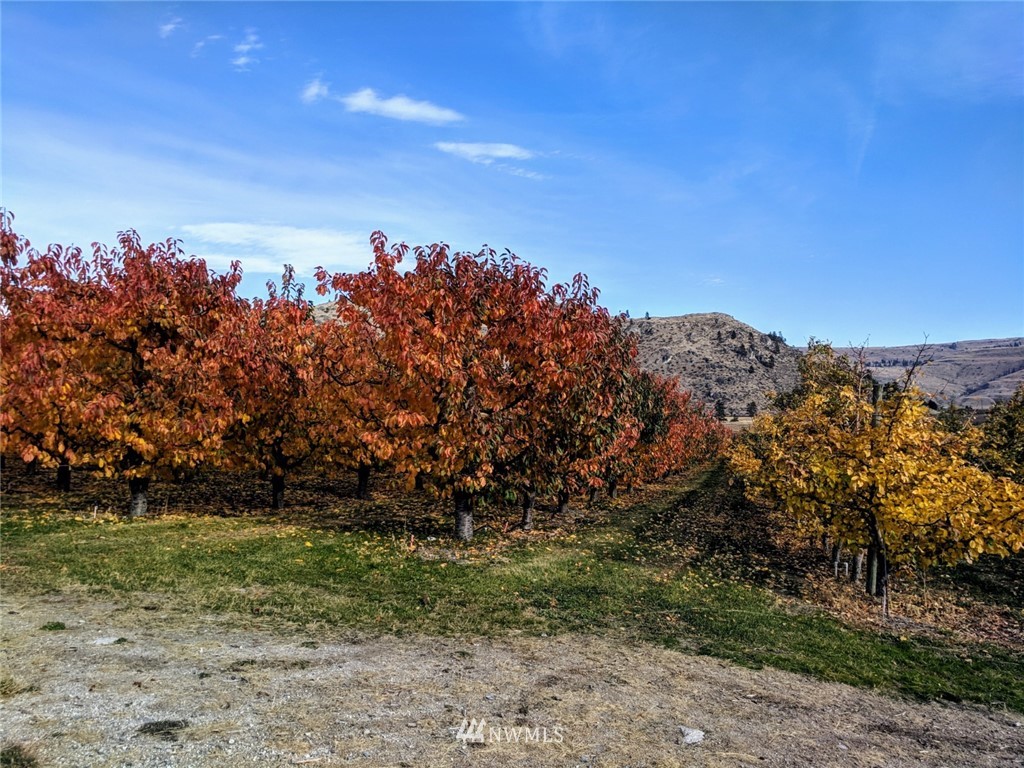 231 Apple Acres Road Chelan, WA 98816 - Photo 8 of 21