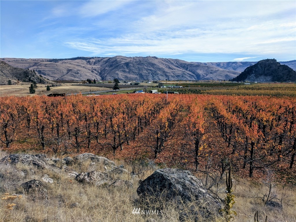 231 Apple Acres Road Chelan, WA 98816 - Photo 9 of 21