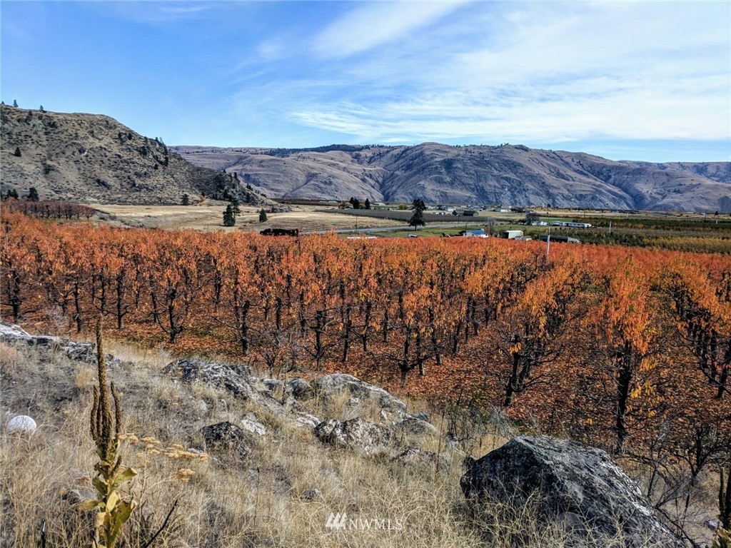 231 Apple Acres Road Chelan, WA 98816 - Photo 10 of 21