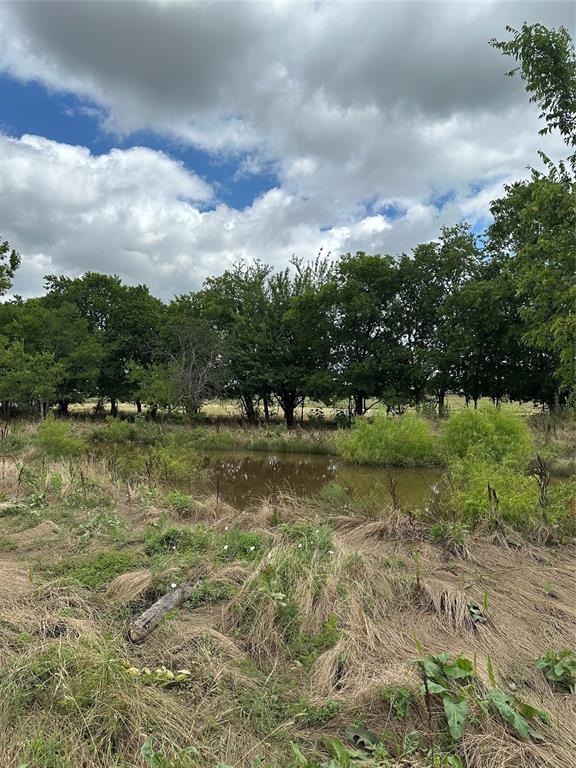 Tbd Krahl Road Valley View, TX 76272 - Photo 19 of 23 Creek and tree line