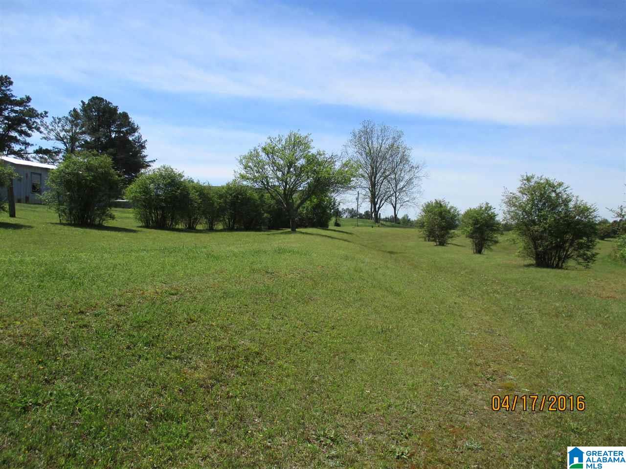 2253 Cliff Springs Road Oneonta, AL 35121 - Photo 33 of 50 Gallery Image 33