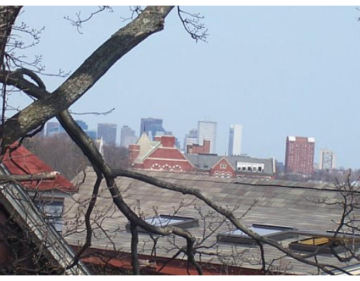 61 Hampstead Road Boston, MA 02130 - Photo 3 of 9 Gallery Image 3