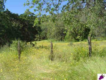28123 Burrough Valley Road Tollhouse, CA 93667 - Photo 1 of 6 Gallery Image 1