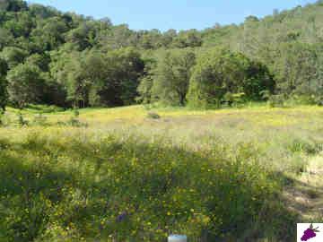 28123 Burrough Valley Road Tollhouse, CA 93667 - Photo 2 of 6 Gallery Image 2