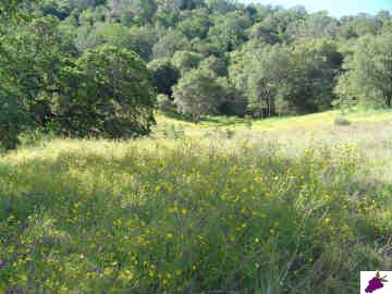 28123 Burrough Valley Road Tollhouse, CA 93667 - Photo 3 of 6 Gallery Image 3