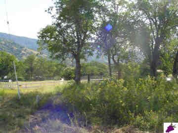 28123 Burrough Valley Road Tollhouse, CA 93667 - Photo 4 of 6 Gallery Image 4