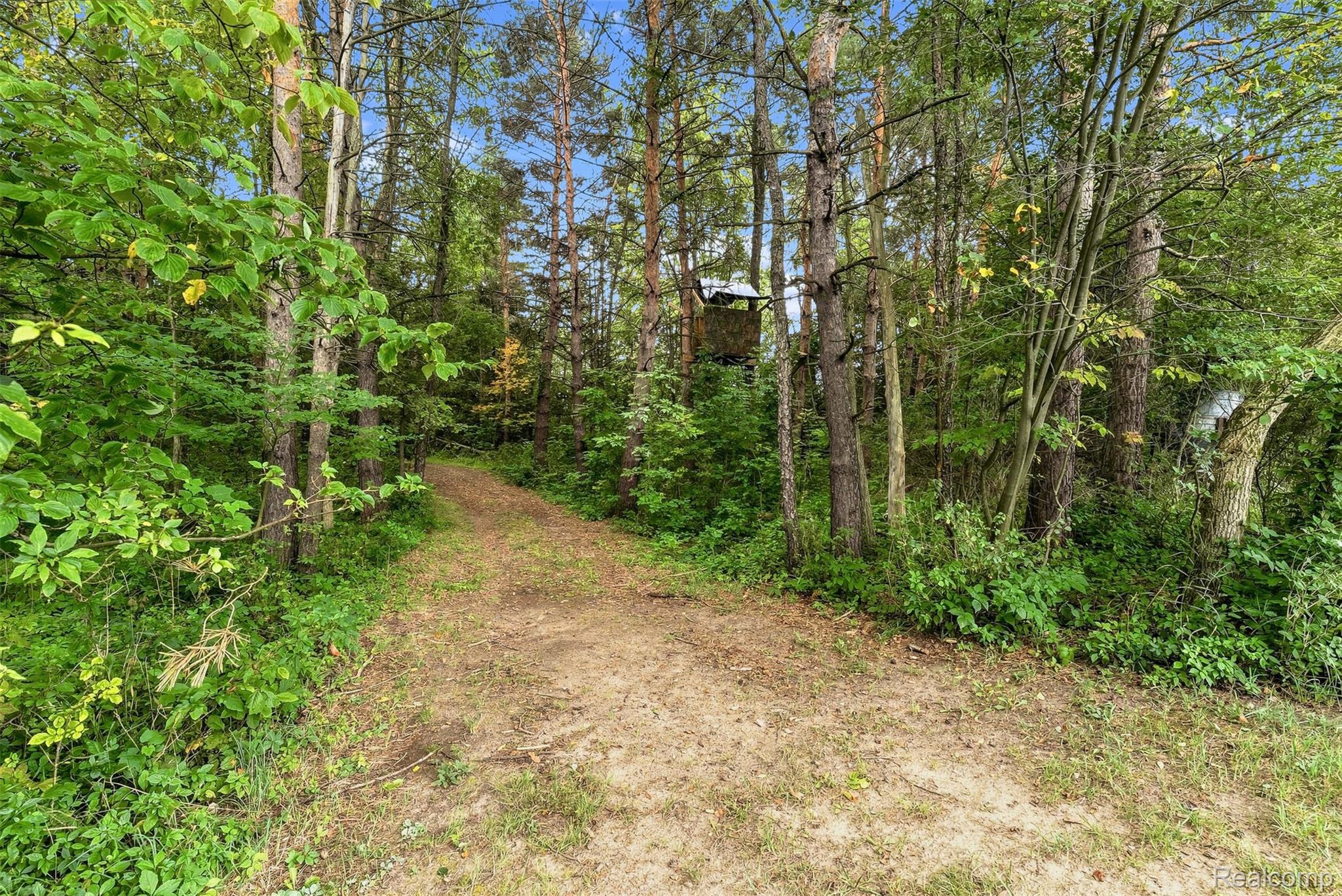 2971 Huron Line Road Cass City, MI 48726 - Photo 59 of 63 71_dsc04236.jpg