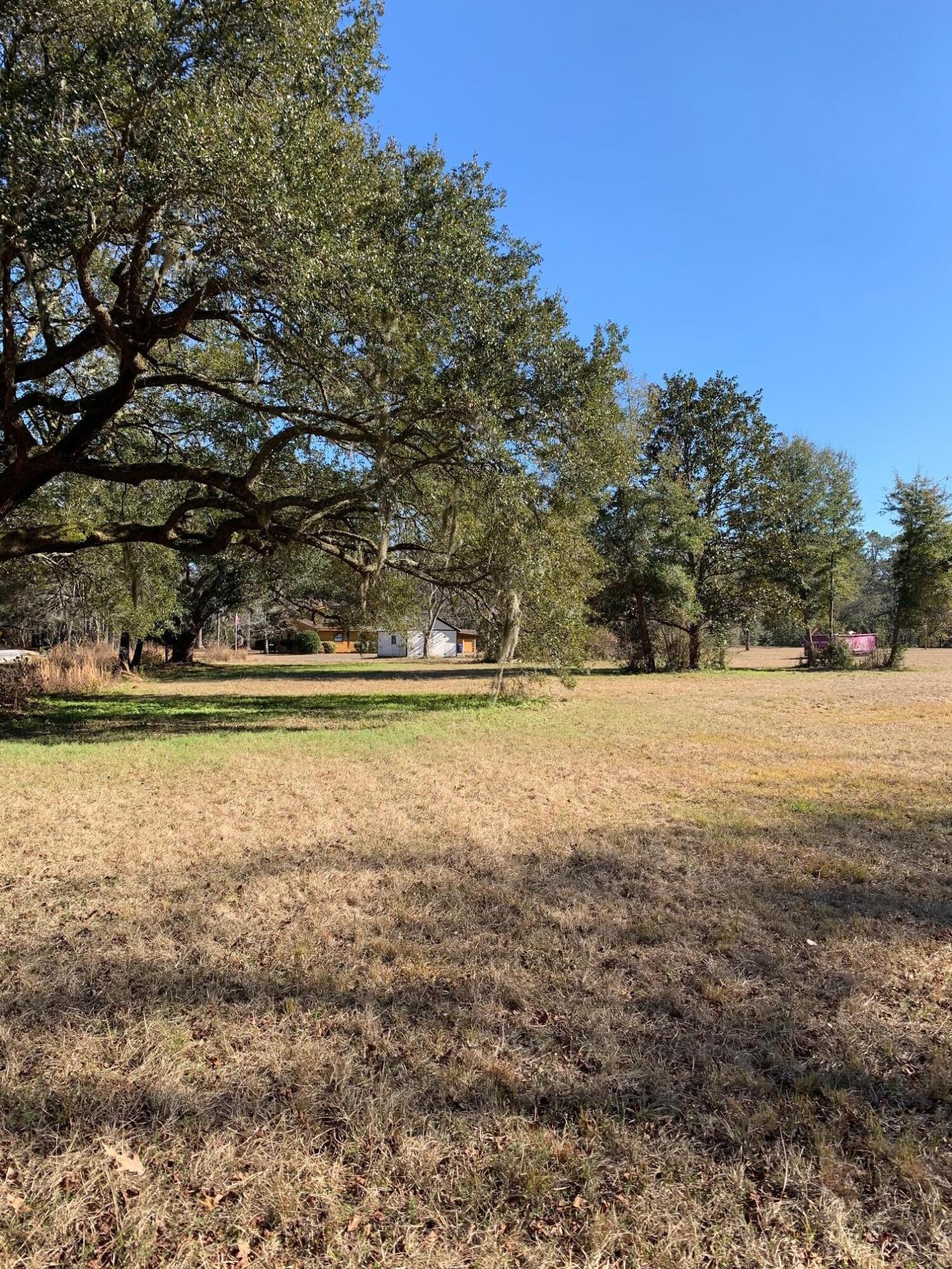 4541 Bears Bluff Road Wadmalaw Island, SC 29487 - Photo 54 of 66 IMG_3334