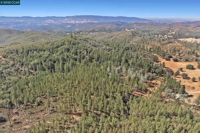 a view of city and mountain