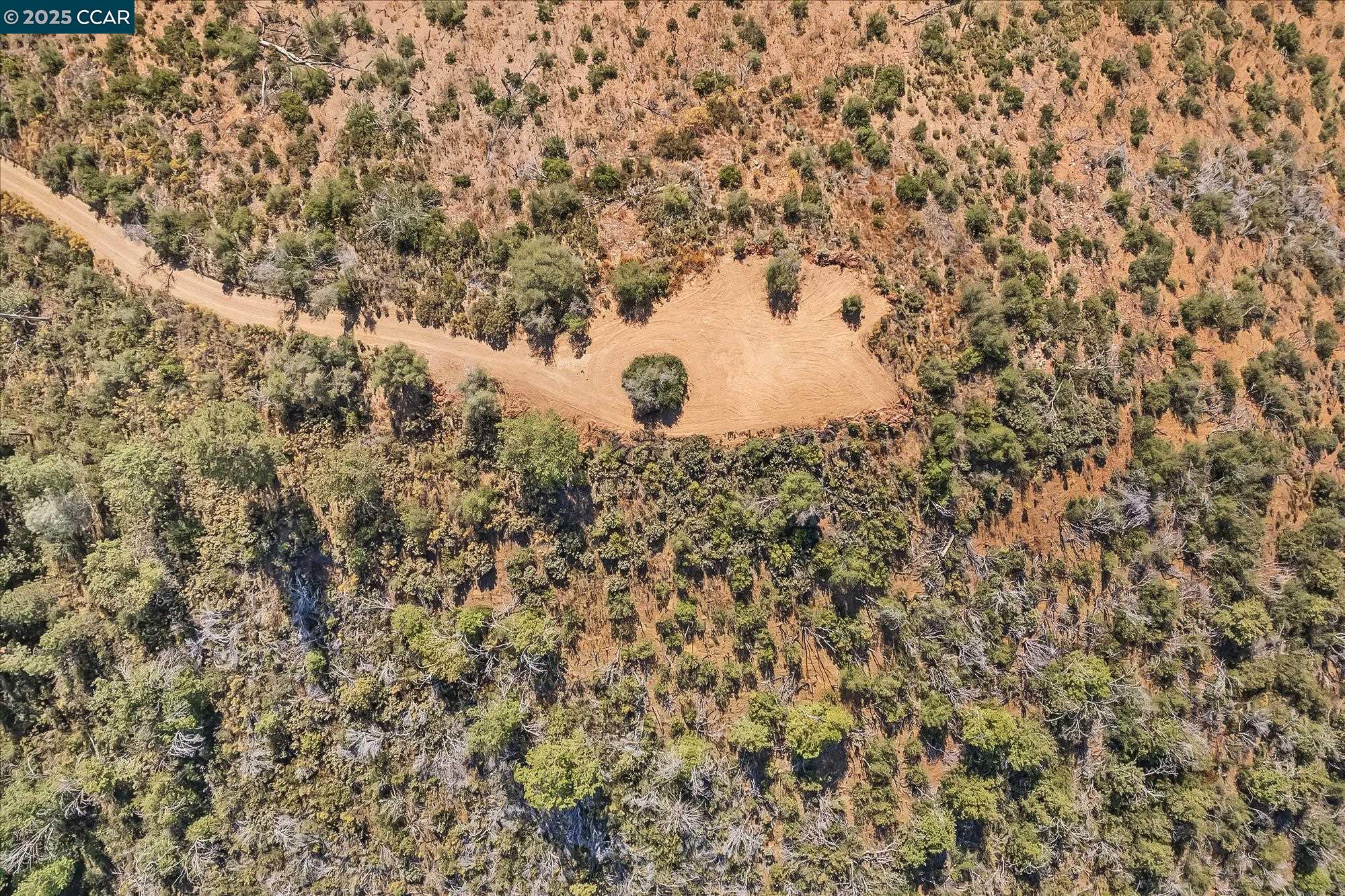 7559 Alamo Rd Mountain Ranch Mountain Ranch, CA 95246 - Photo 7 of 22 a view of a dry yard with a dry yard