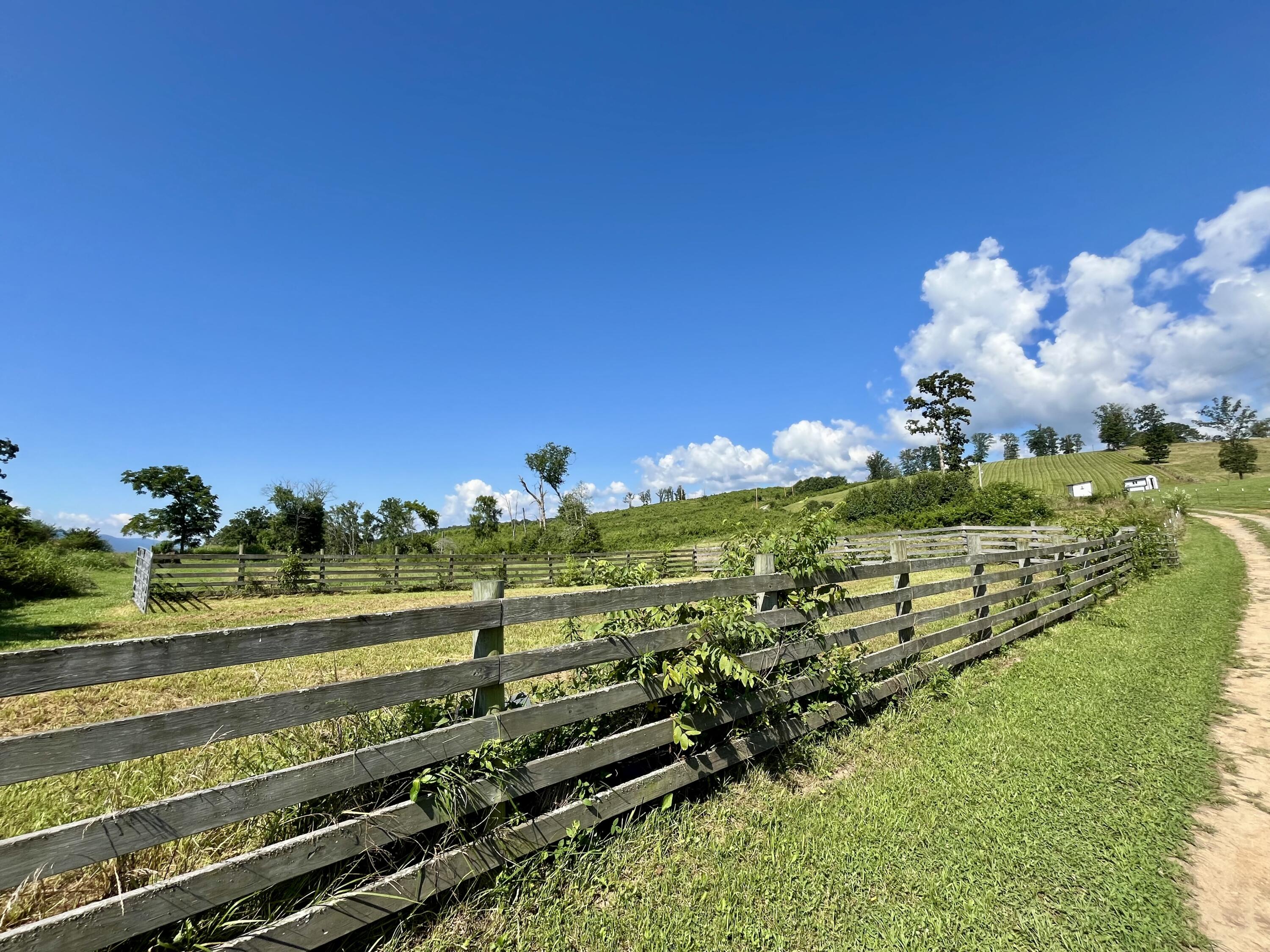 415 Neergaard Lane Dunlap, TN 37327 - Photo 12 of 30 fo11