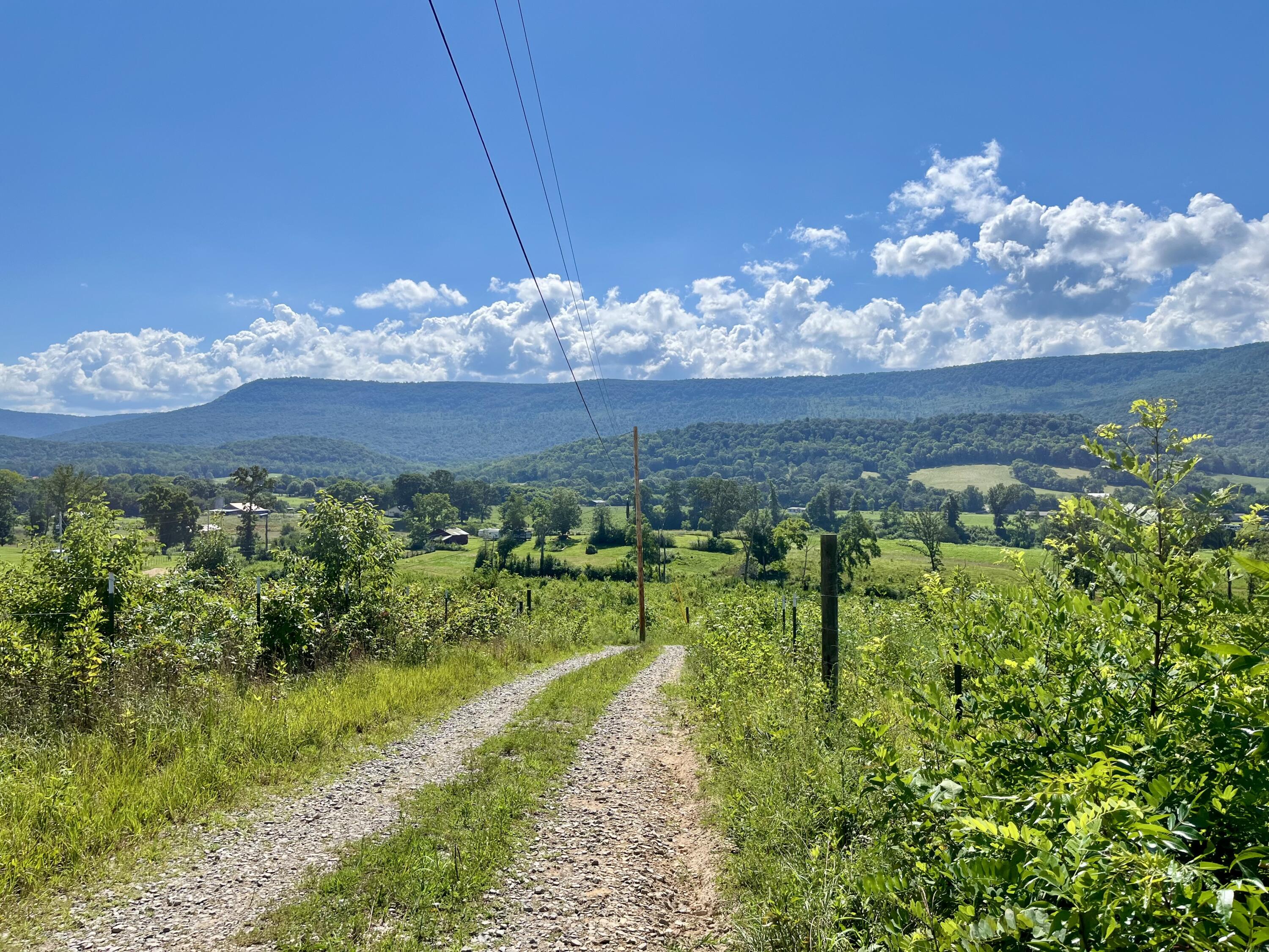 415 Neergaard Lane Dunlap, TN 37327 - Photo 16 of 30 fo6