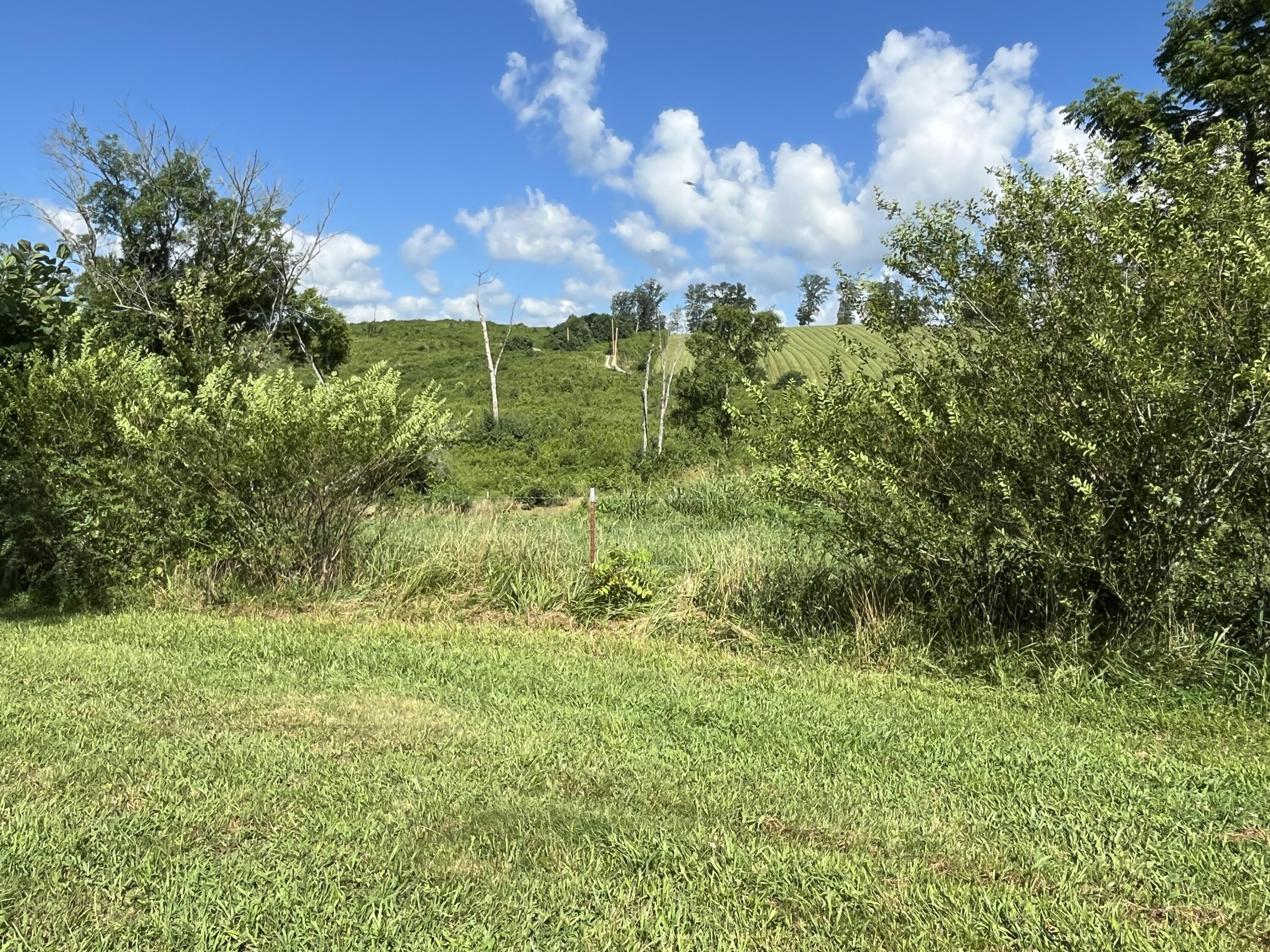 415 Neergaard Lane Dunlap, TN 37327 - Photo 17 of 30 fo21