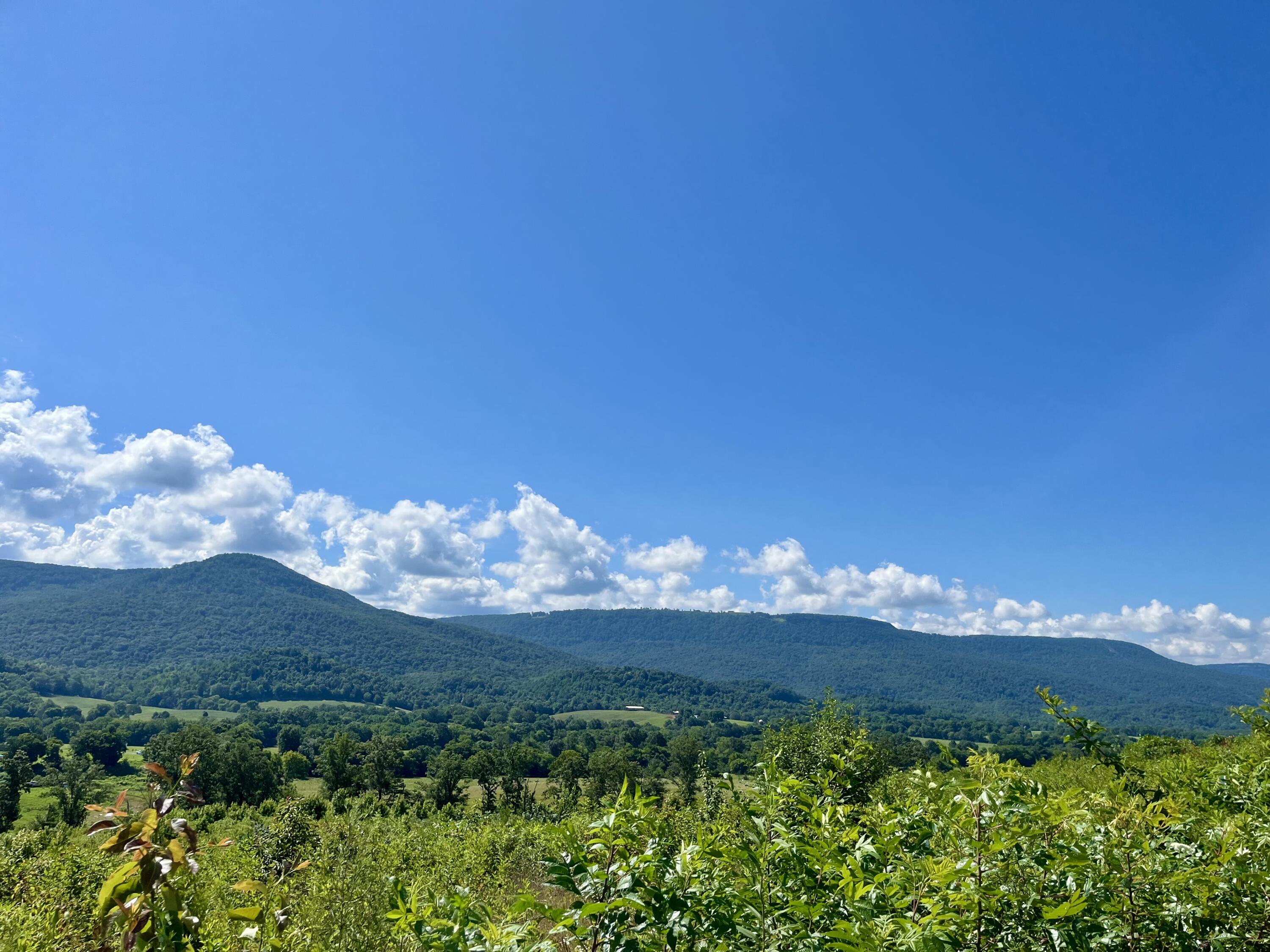 415 Neergaard Lane Dunlap, TN 37327 - Photo 18 of 30 fo1