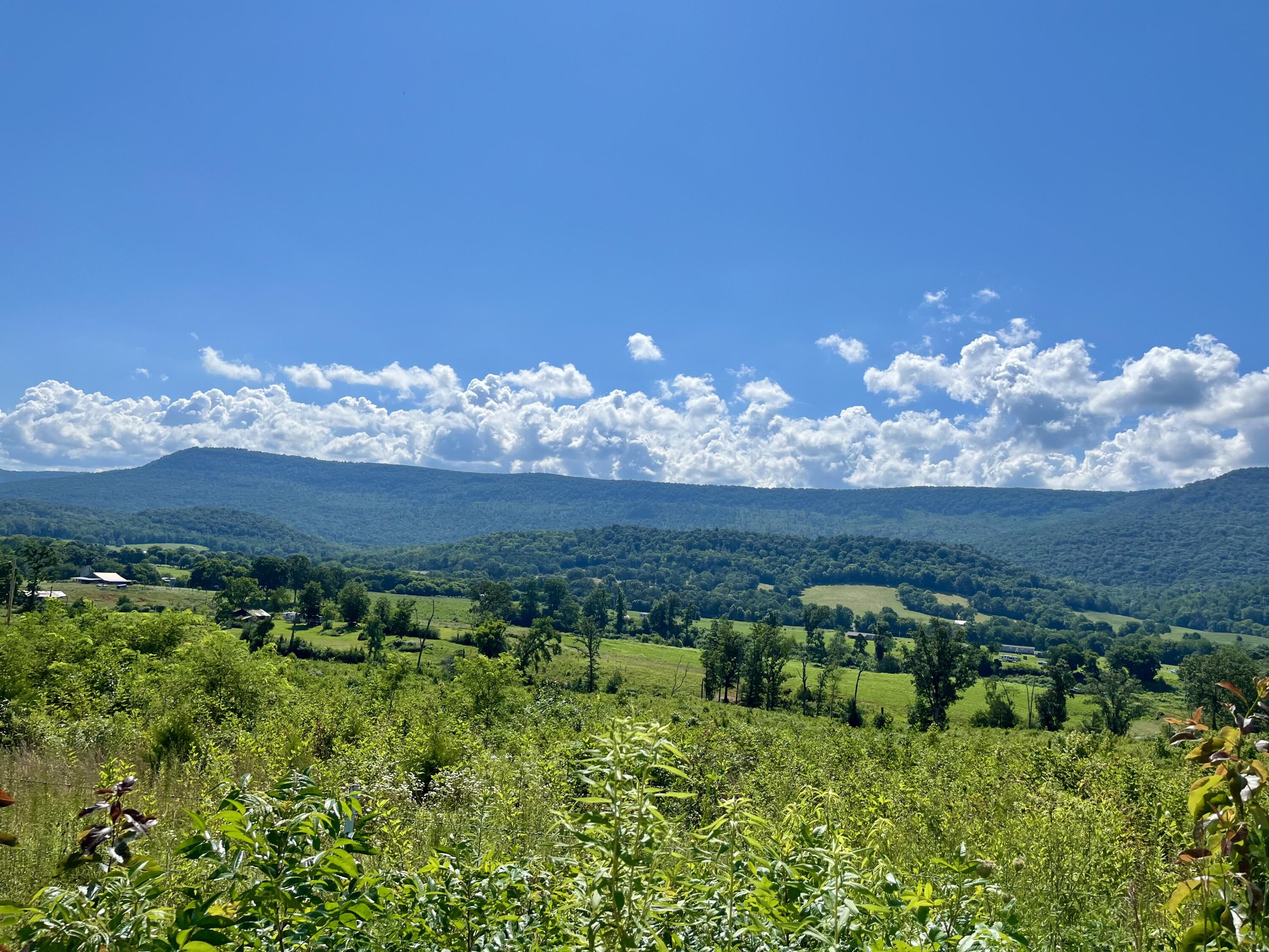 415 Neergaard Lane Dunlap, TN 37327 - Photo 20 of 30 fo3