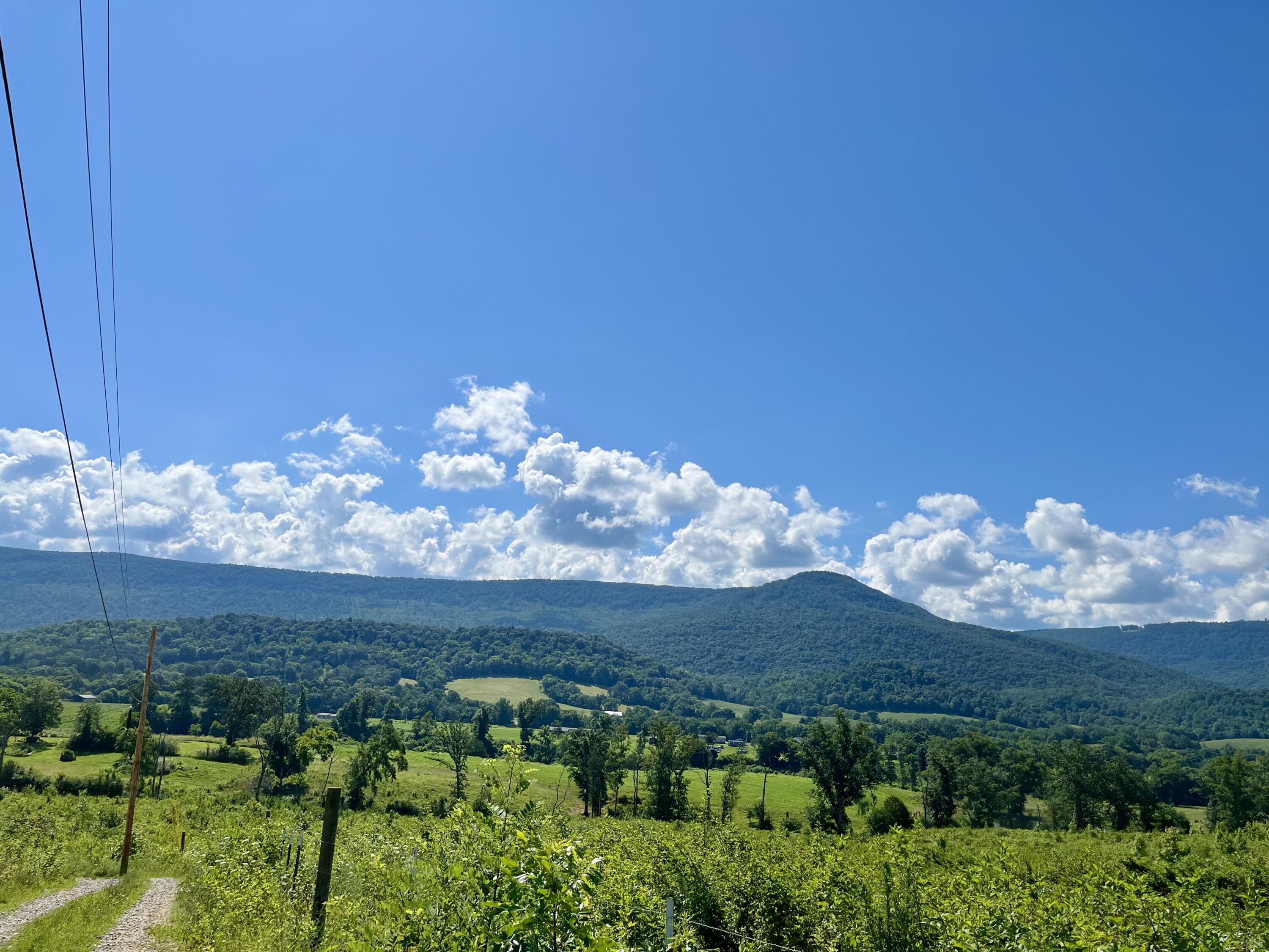 415 Neergaard Lane Dunlap, TN 37327 - Photo 21 of 30 fo5