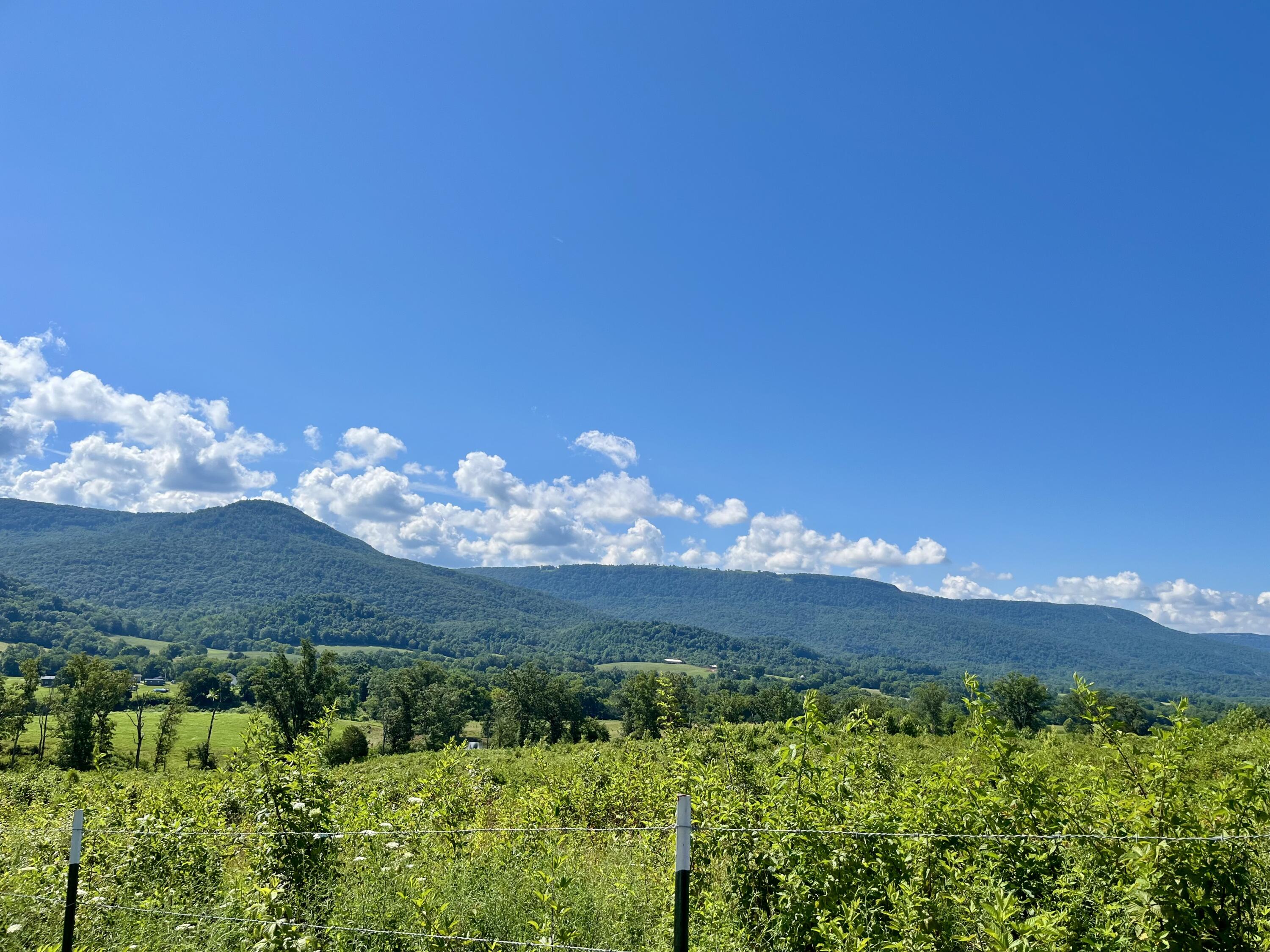 415 Neergaard Lane Dunlap, TN 37327 - Photo 22 of 30 fo7