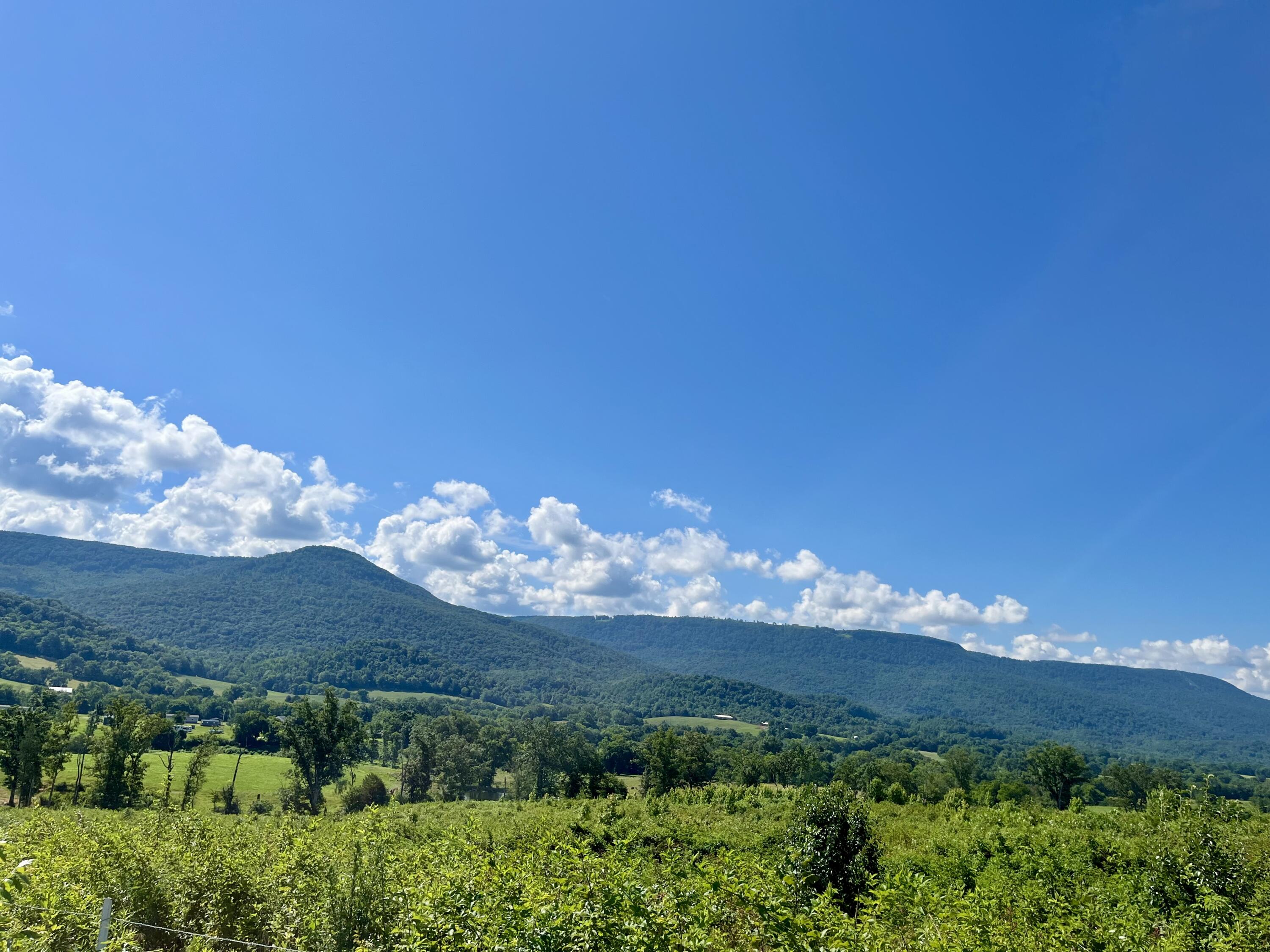 415 Neergaard Lane Dunlap, TN 37327 - Photo 23 of 30 fo8