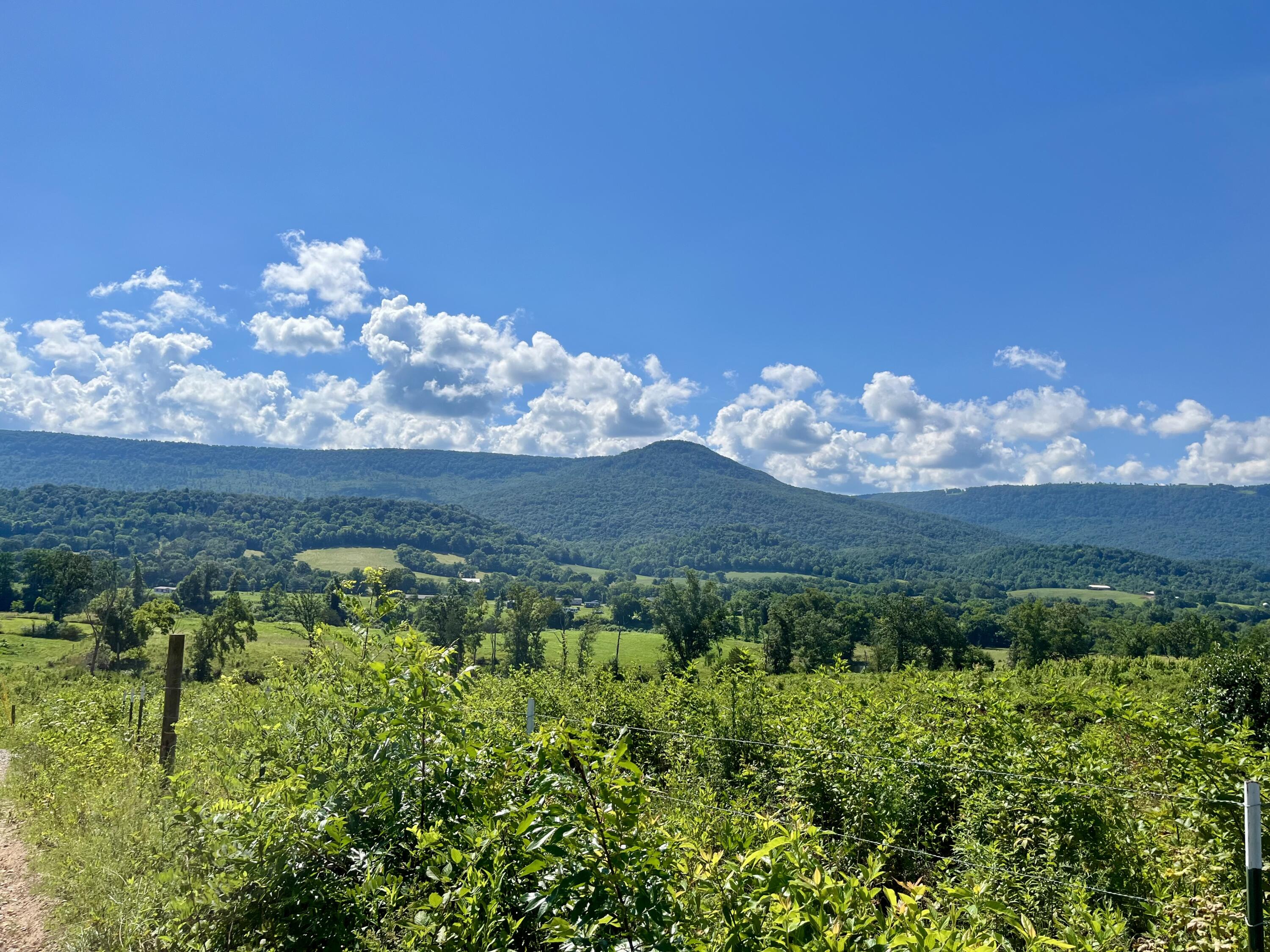 415 Neergaard Lane Dunlap, TN 37327 - Photo 24 of 30 fo9