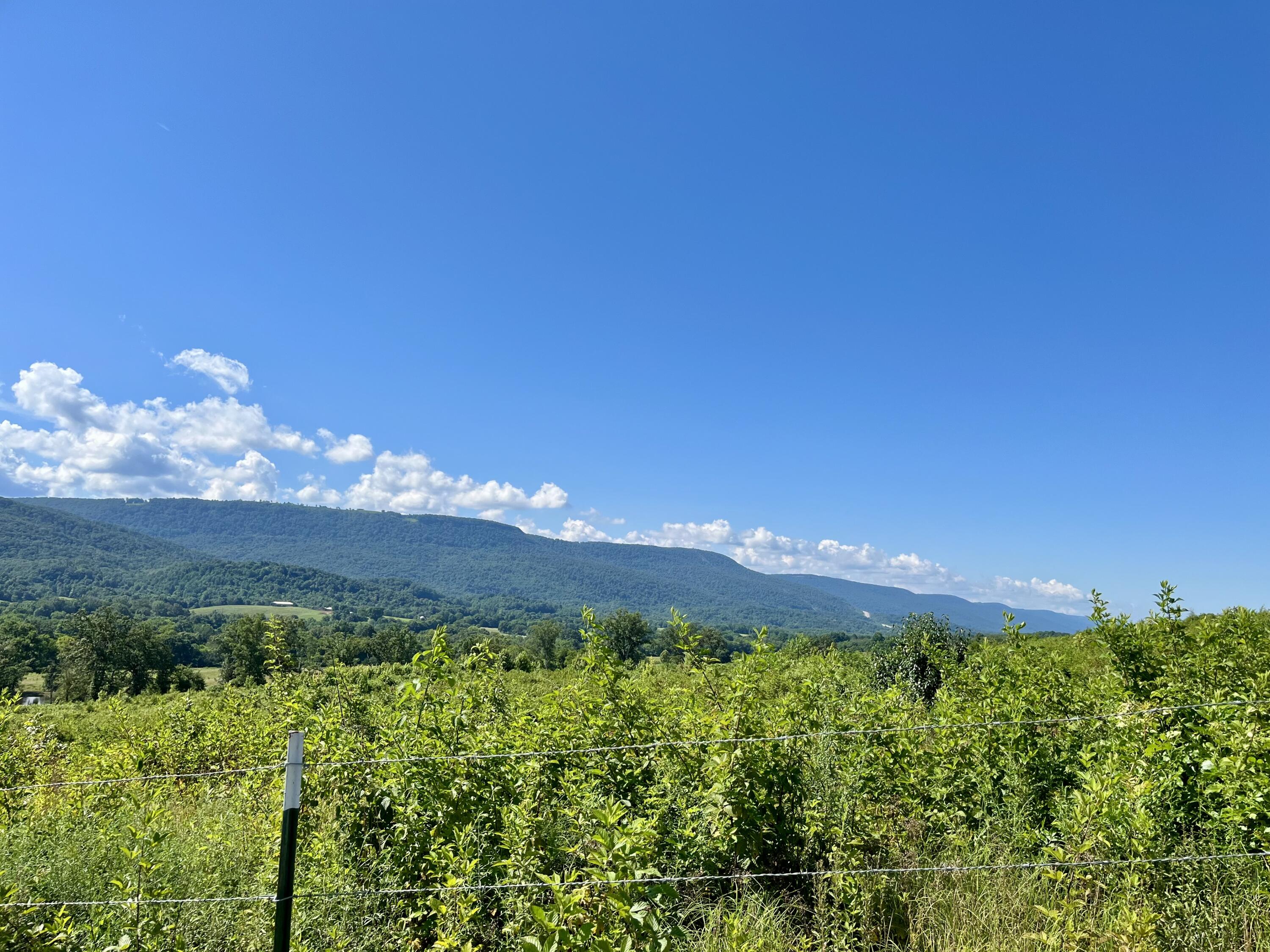 415 Neergaard Lane Dunlap, TN 37327 - Photo 25 of 30 fo12