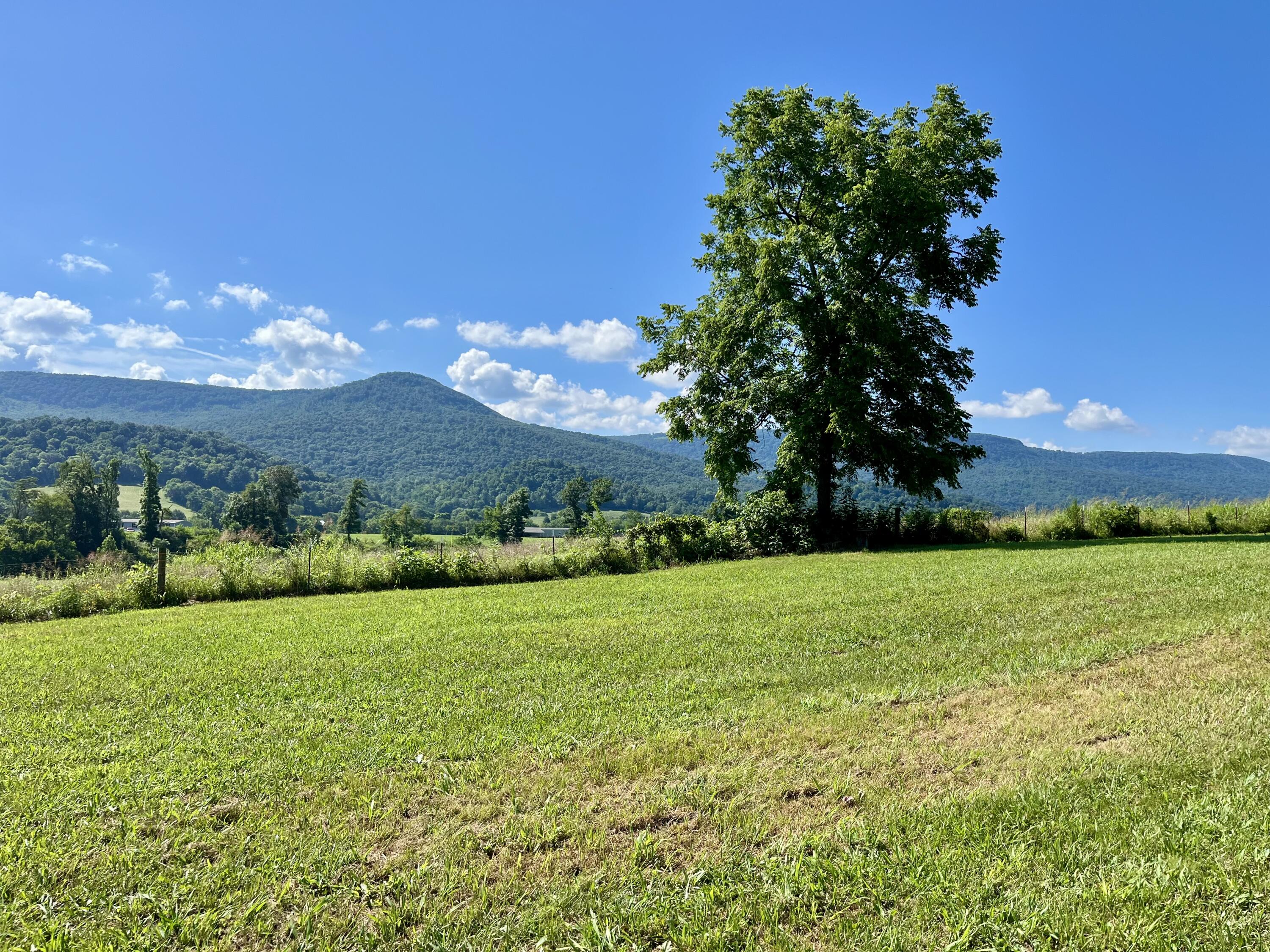 415 Neergaard Lane Dunlap, TN 37327 - Photo 9 of 30 fo28