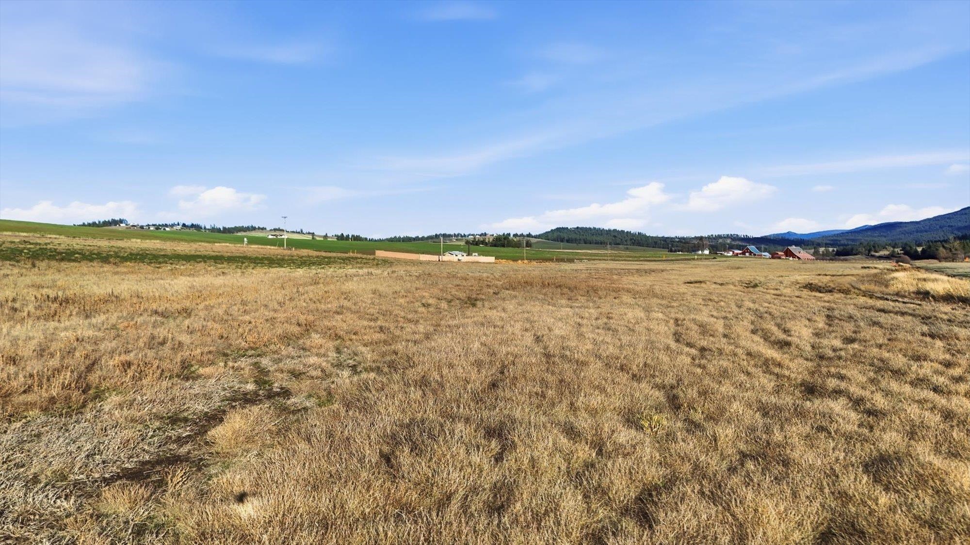 14828 East Belmont Road Mica, WA 99023 - Photo 13 of 18