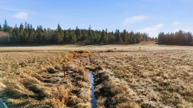 $285,000 | 14828 East Belmont Road, Mica, WA 99023